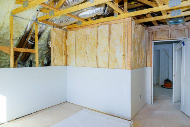 Best Insulation Repair Services  in Carthage, NY