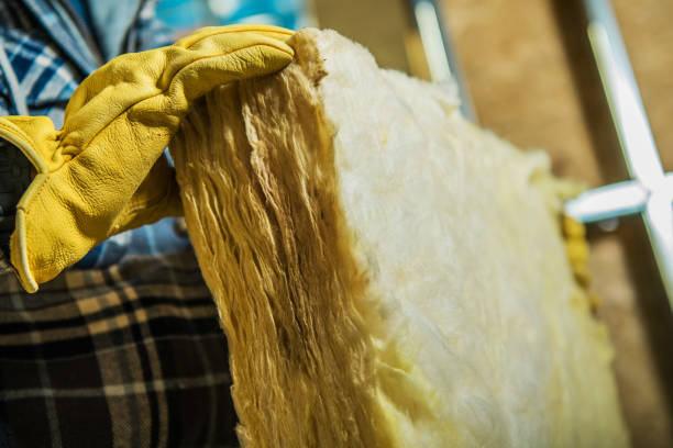Best Local Insulation Services  in Carthage, NY
