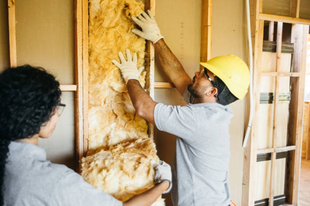 Best Residential Insulation Services  in Carthage, NY